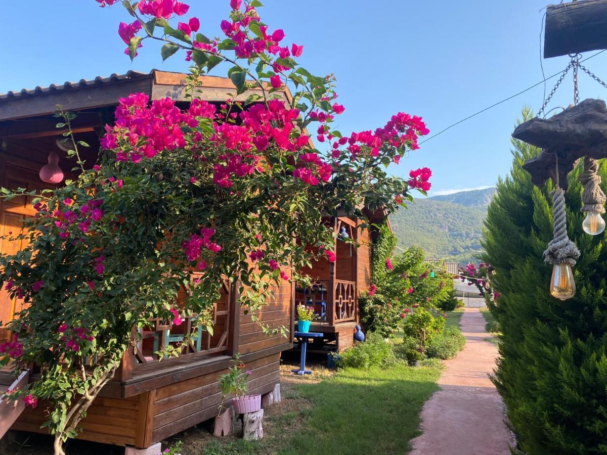 Karaoez Ada Bungalows & Villa المظهر الخارجي الصورة