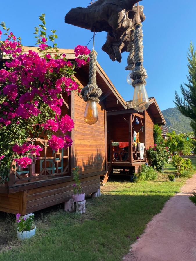 Karaoez Ada Bungalows & Villa المظهر الخارجي الصورة