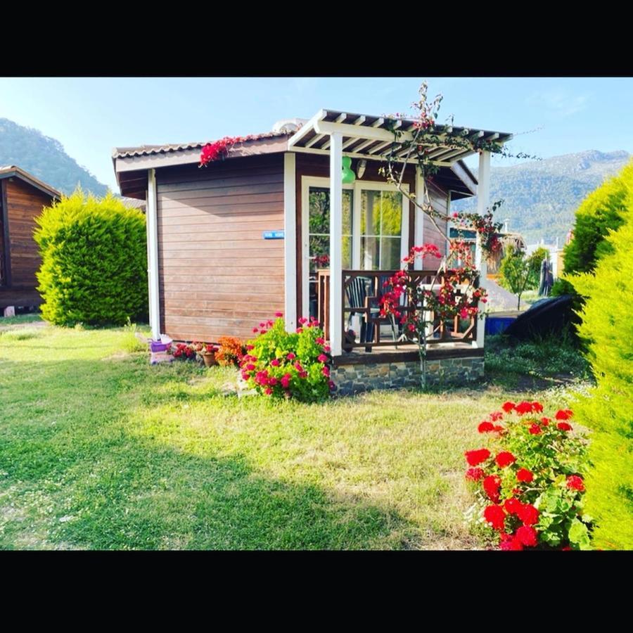 Karaoez Ada Bungalows & Villa المظهر الخارجي الصورة