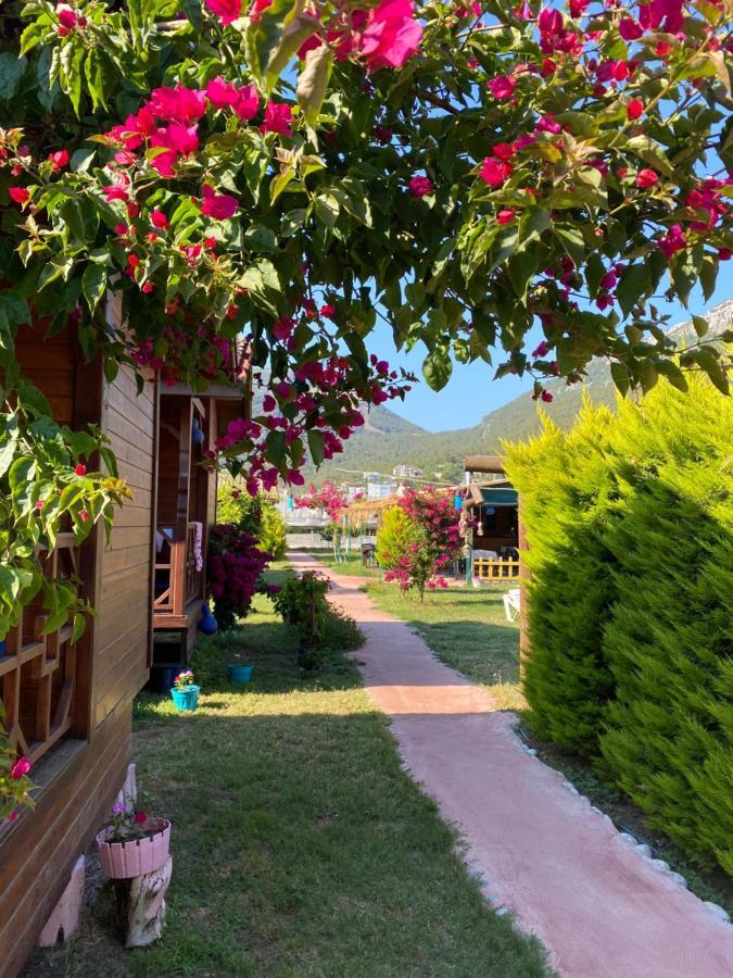 Karaoez Ada Bungalows & Villa المظهر الخارجي الصورة