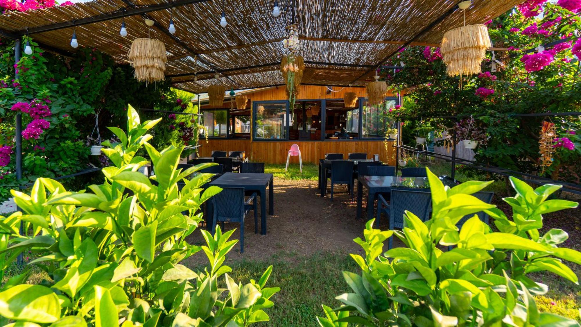 Karaoez Ada Bungalows & Villa المظهر الخارجي الصورة