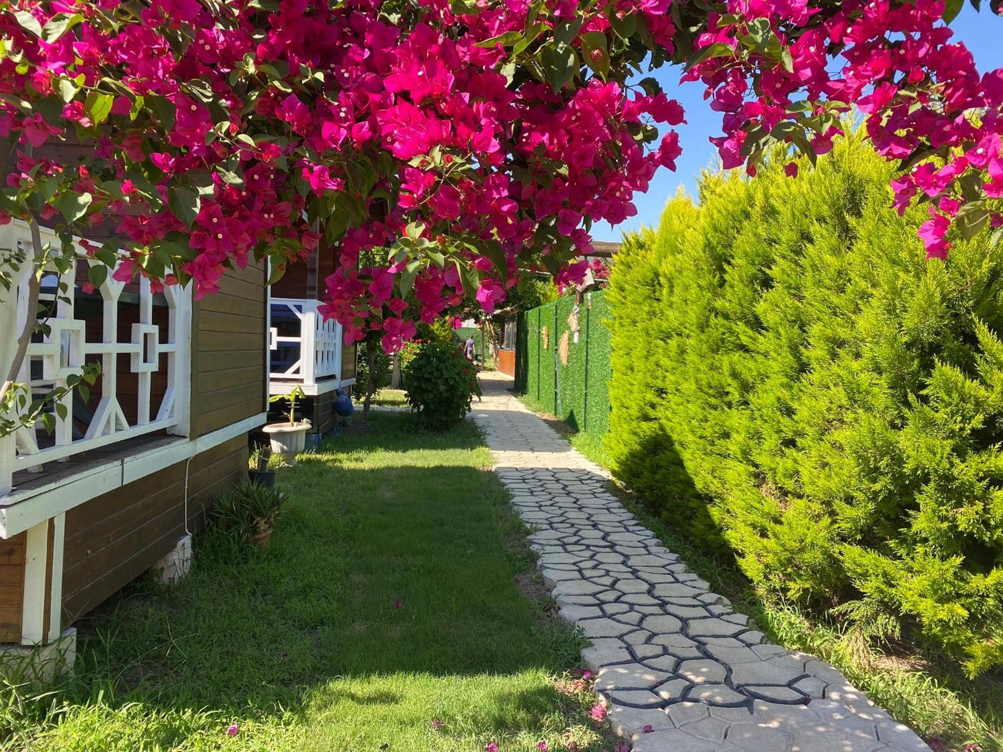 Karaoez Ada Bungalows & Villa الغرفة الصورة