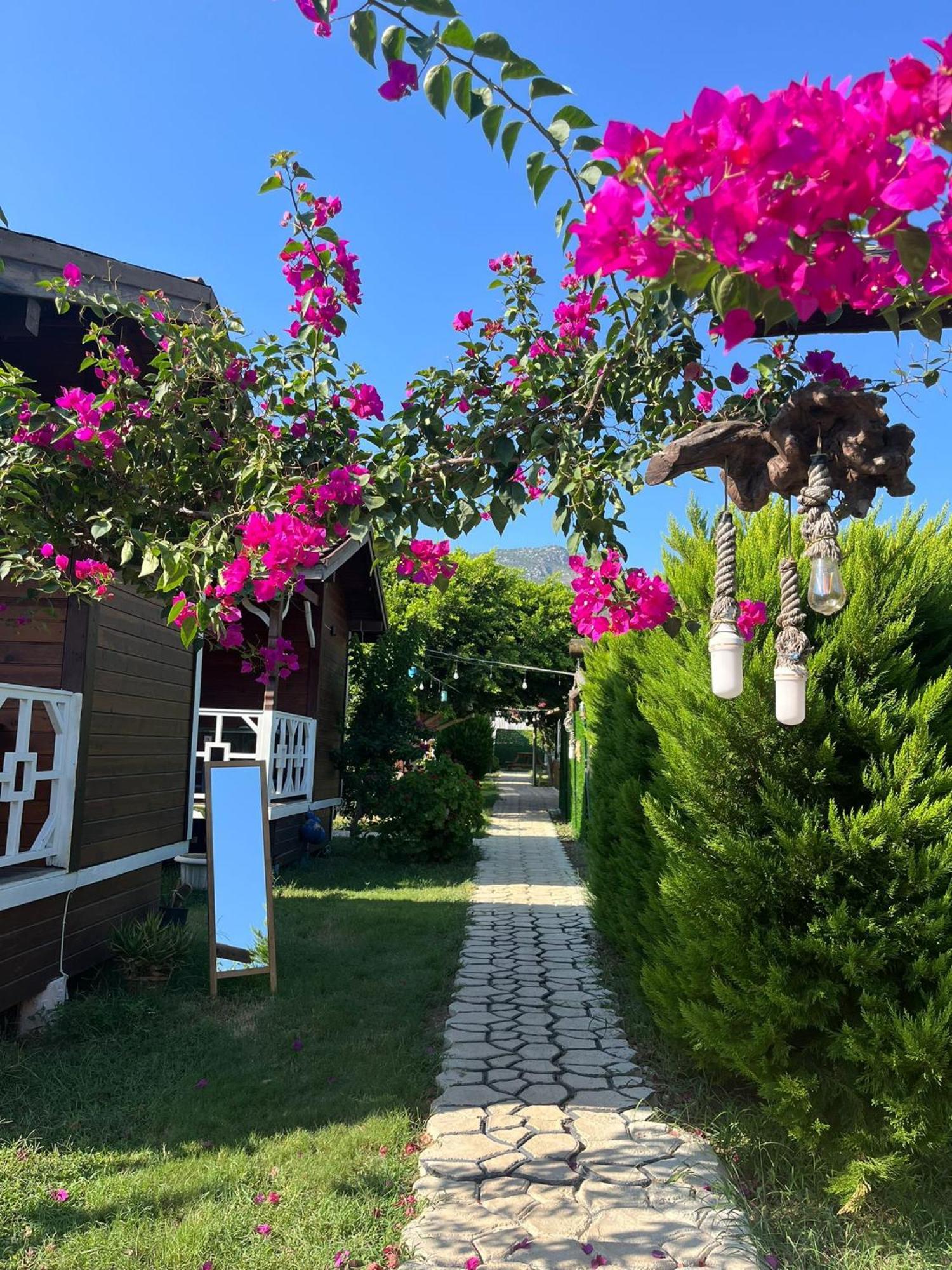 Karaoez Ada Bungalows & Villa المظهر الخارجي الصورة
